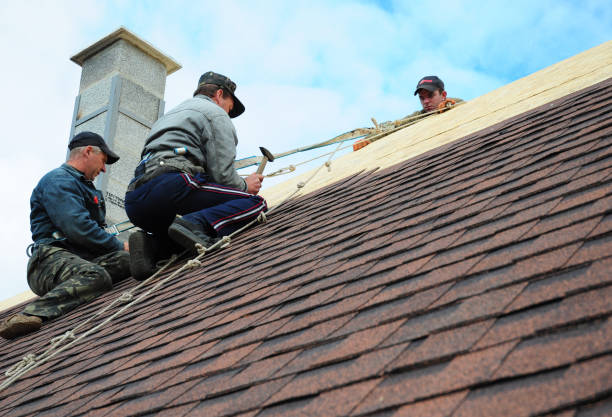Best Roof Leak Repair  in Luckey, OH
